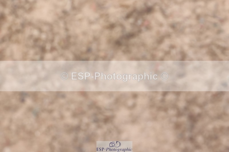 240714A-142512-02376 - Cls 14-15-16  CR & 60cm