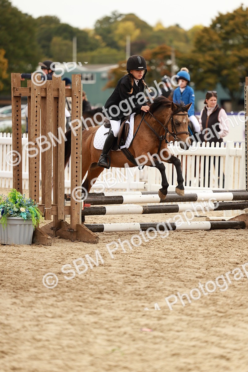 SBM_57827 - J11 - Junior Pony 50cm Championship