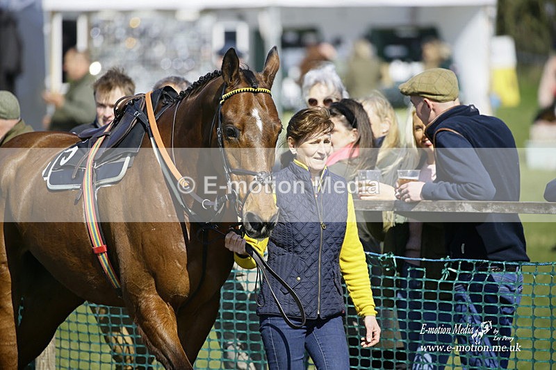 PtP 190322 340 - Wilton Hunt PtP Milborne St Andrew 19/03/22