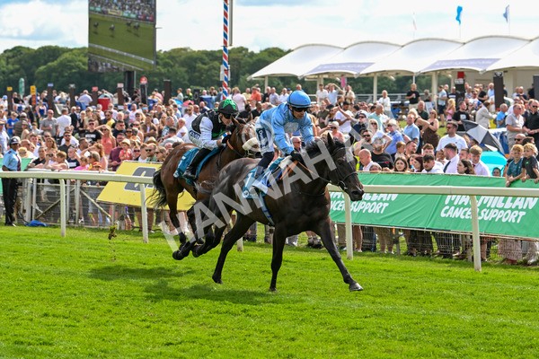 140625-Race 5-Egoli-3086 - Race 5 4.10pm Reg Griffin Appreciation EBFstallions.com Maiden Stakes