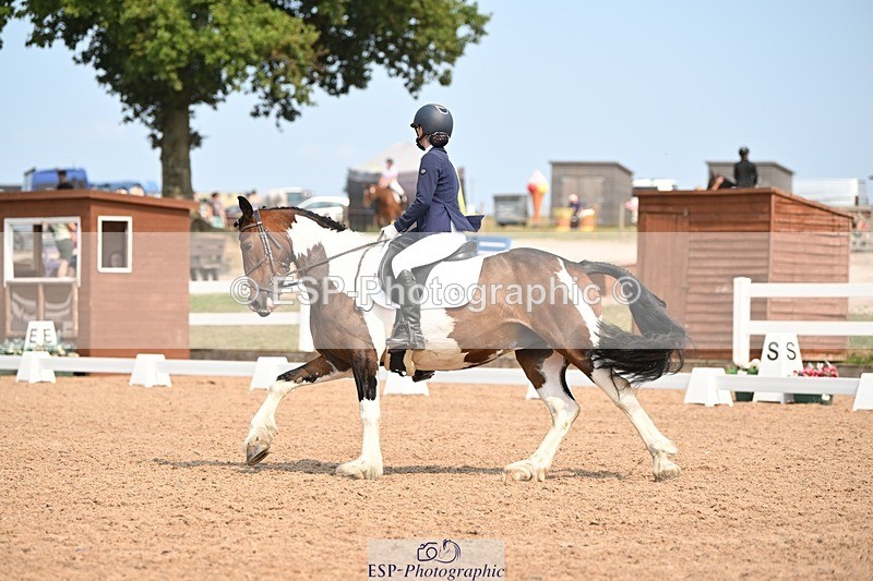 250816-140510-05002 - 050-Mollie.SheathTouch.Wood