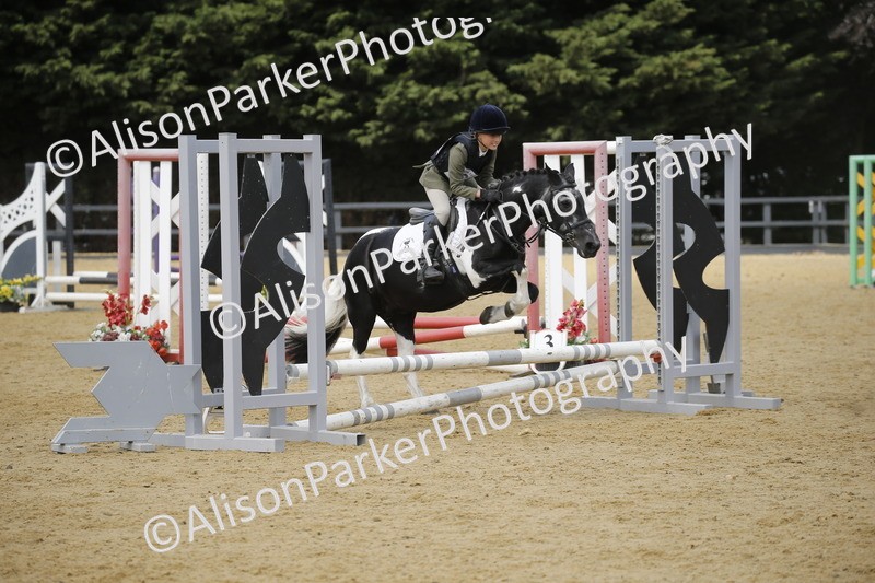 20250622-4058 - 50cm