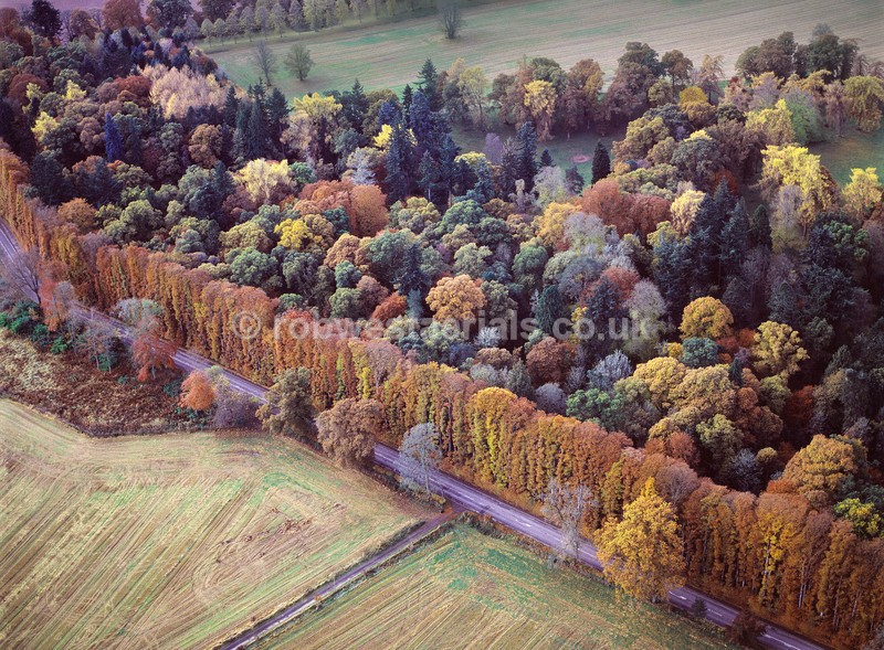 aerial pictures of Scottish woodlands landscapes forests of Scotland