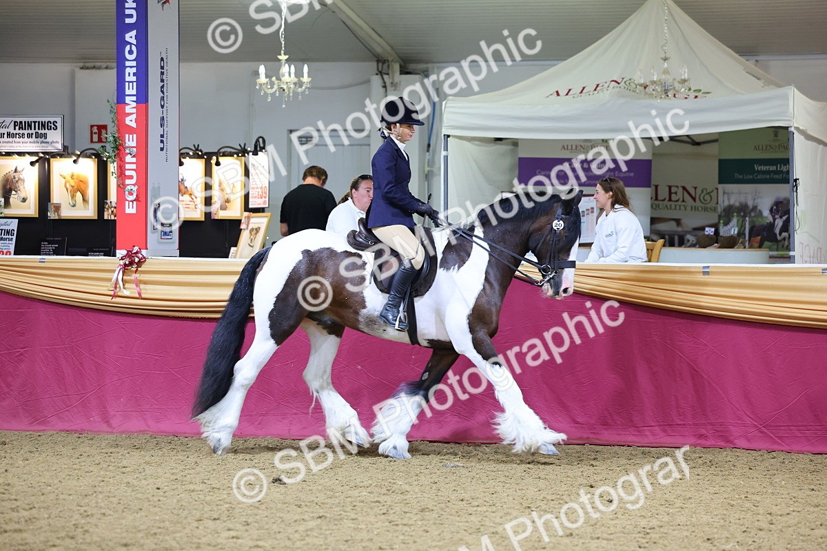 SBM_18569 - Class B Junior Champ 11-16 years