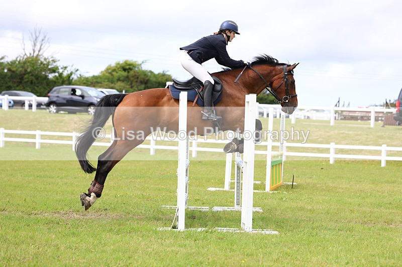 3E7A7808 - Class 13: Senior British Novice/90cm open