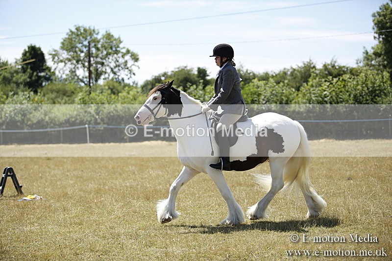 _C7A9898 - BVRC Show 2018 Ring 1