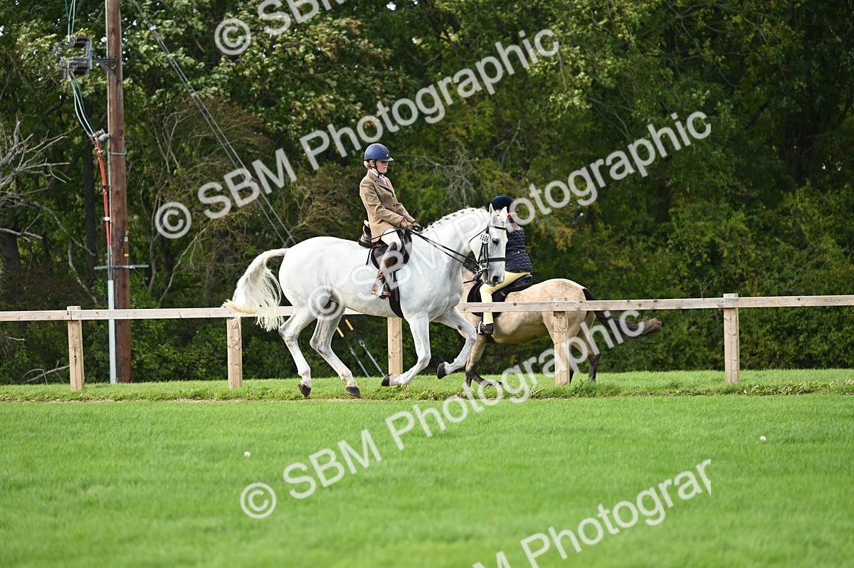 SBM_26400 - S6 - Novice & newcomer Ridden horse