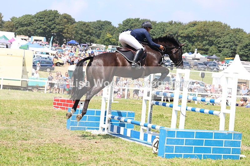 3E7A3378 - Class 10: Senior Foxhunter/1.20 open