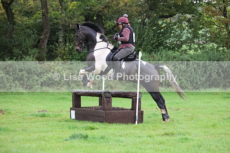 JPP_5407 - Class 4: 80cm: Crossed Logs