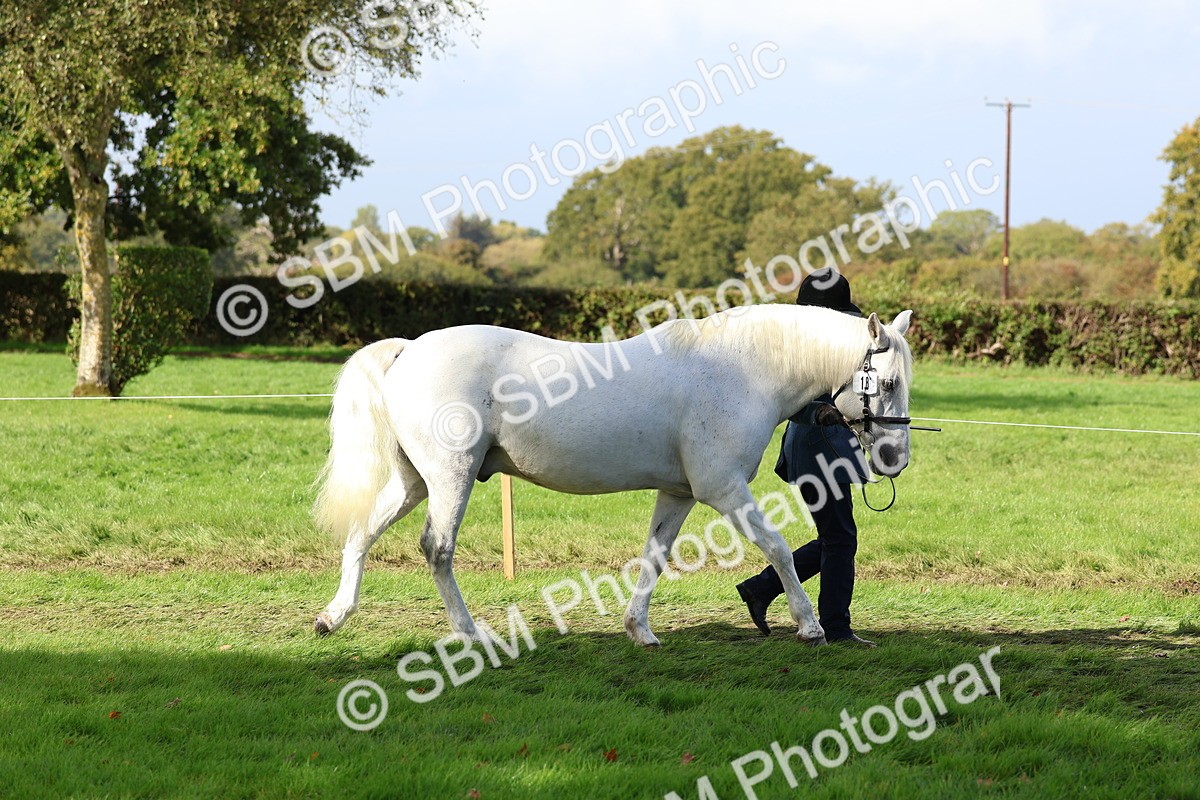 SBM_39394 - S24 - Young Veteran In Hand