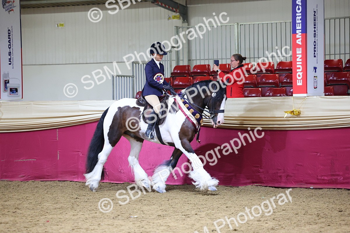 SBM_18592 - Class B Junior Champ 11-16 years