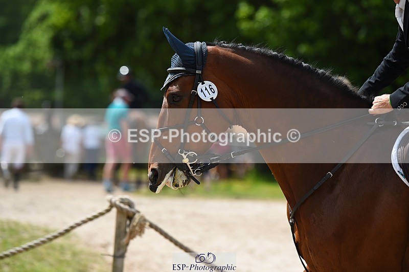 230528-143710-18685 - 116-MONBEG_DARWIN-Michael_Owen-SUNTrotUp+SJ