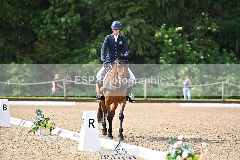 250523A-094121-05308 - C-258-Bill.Levett-ITALIAN.HARLEQUIN.NJ