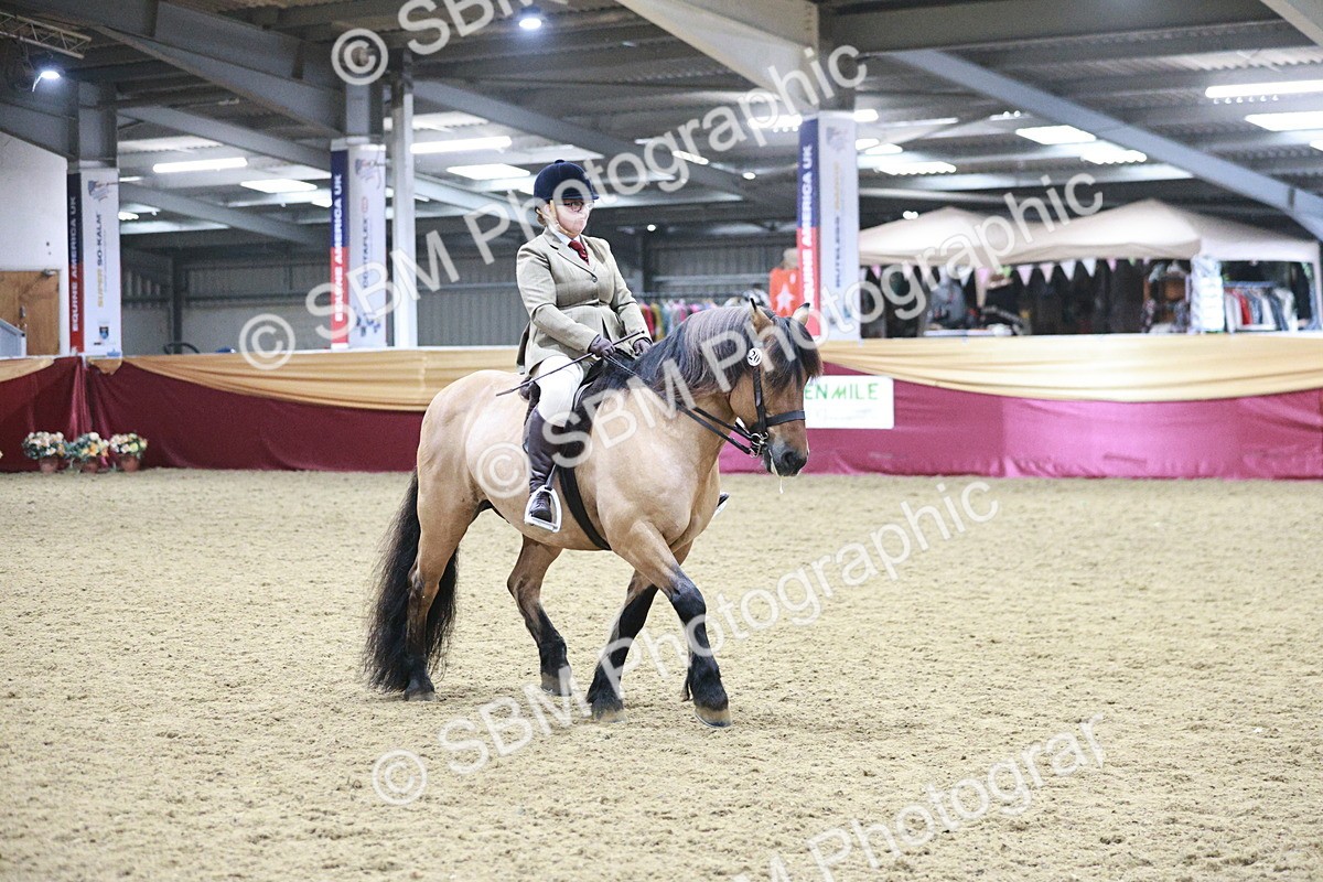 SBM_08105 - Class 11R - Regional Ridden Veteran