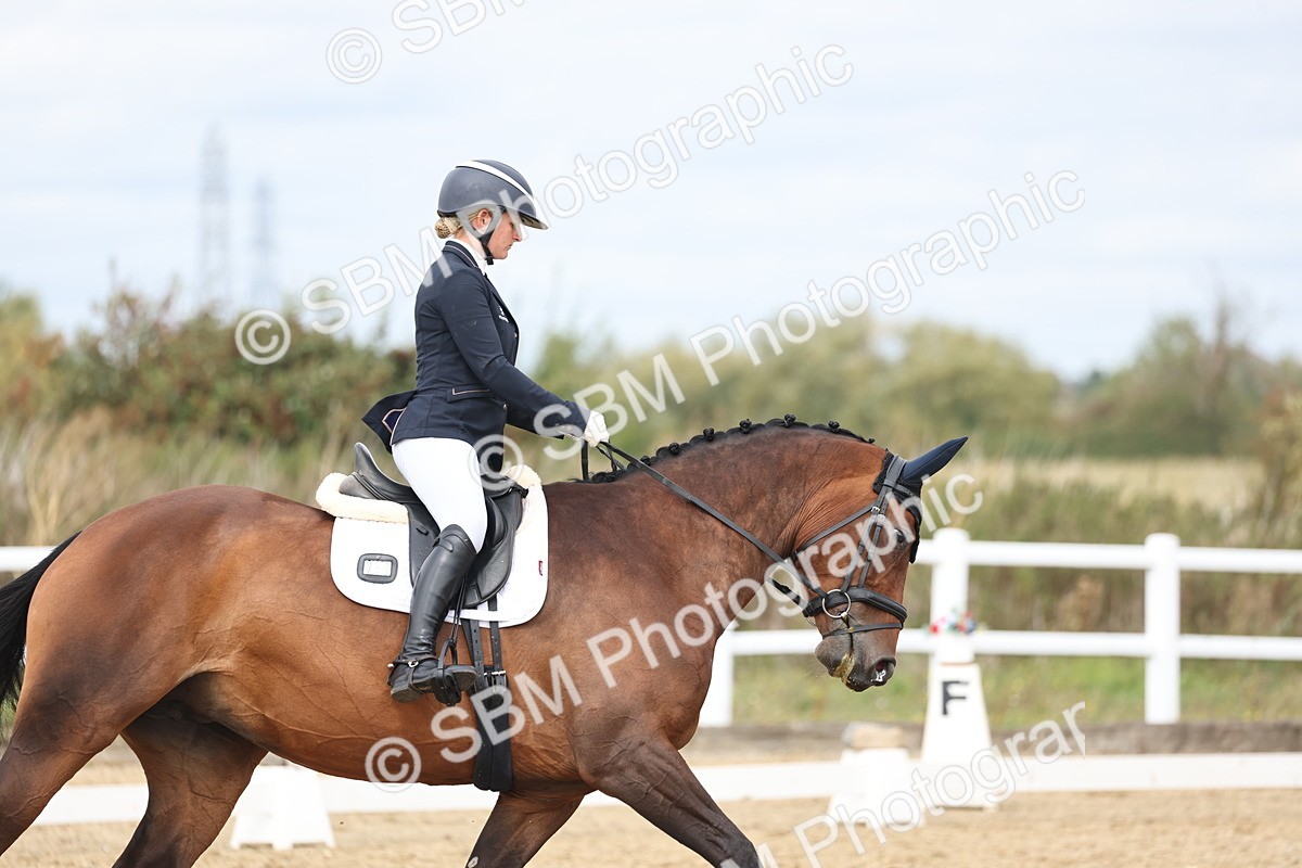 SBM_002552 - Class 7 - Novice 2 Warm Up