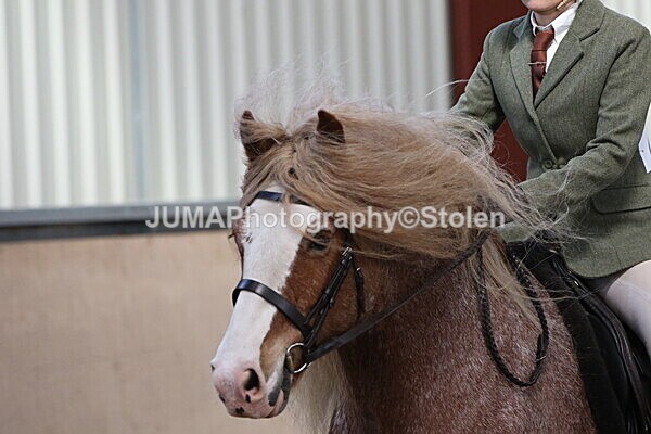 SIAL1924 - Indoor Classes