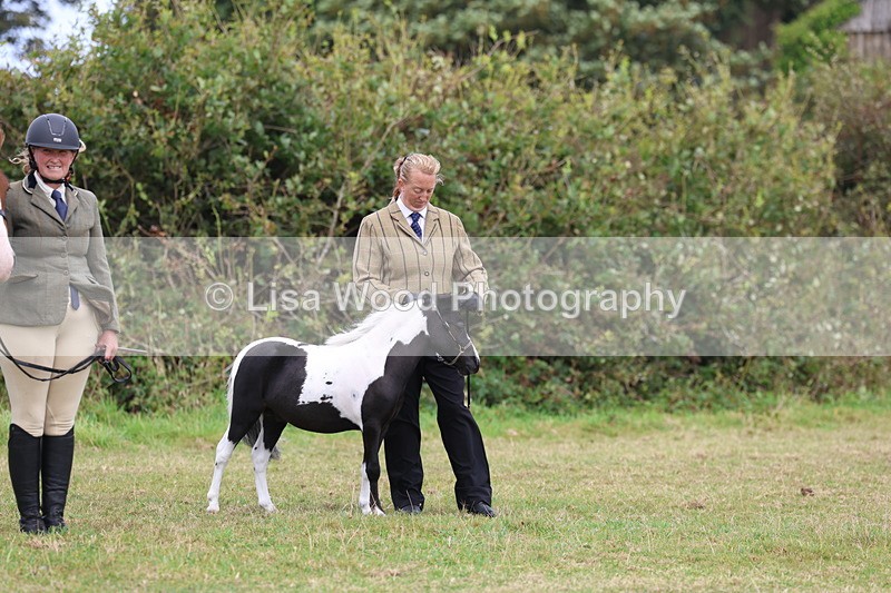 3E7A4192 - Class 15: Two Year Olds