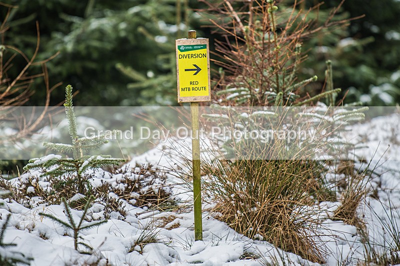 Glentress-1711 - High Terrain Events Glentress 10K 21K & 42K Trail Races Sunday 16th February 2025