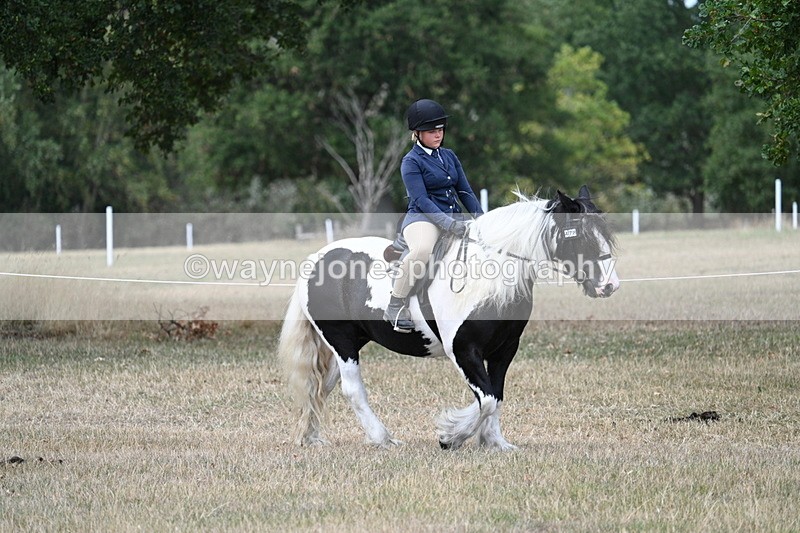 WJ7_4661 - Class 12 Ridden Cob