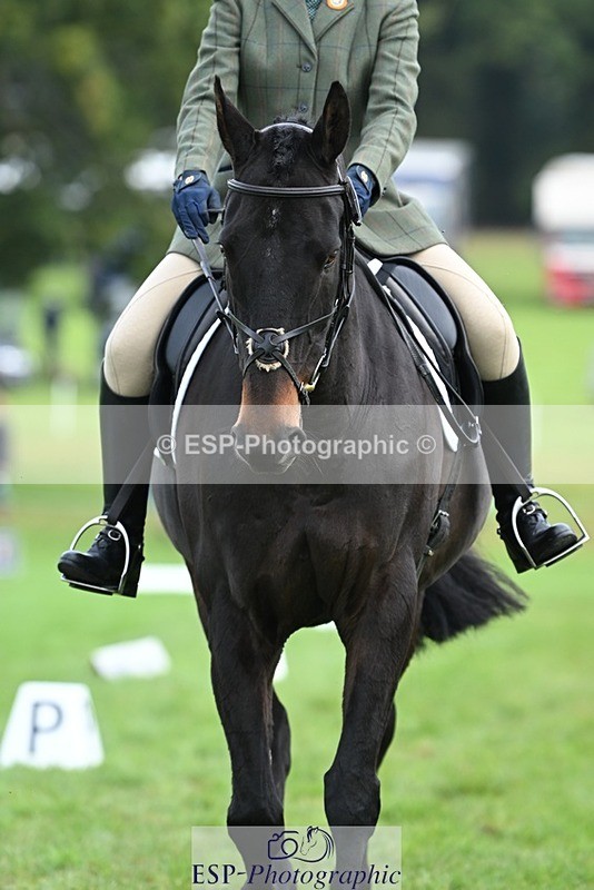 231020-104242-07414 - 472-SIR.LARRY.II-Alice.Wharton-DR