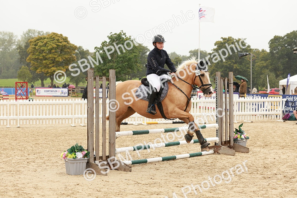 SBM_71151 - J14 - Junior Pony 65cm Championship