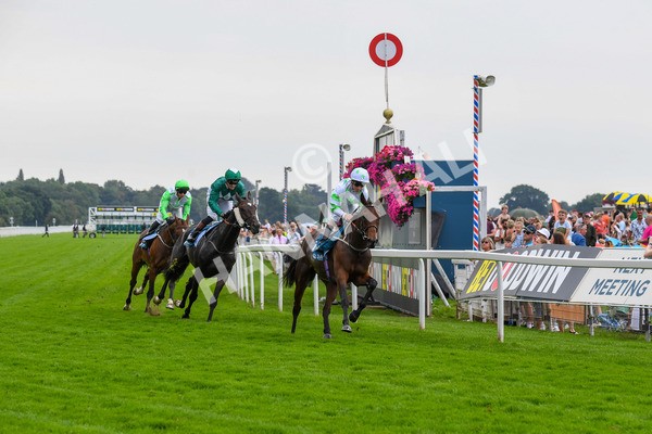 100923-Race 3-Yorkindness-0625 - Race 3 2.45pm Fine Details Vehicle Valeting Handicap