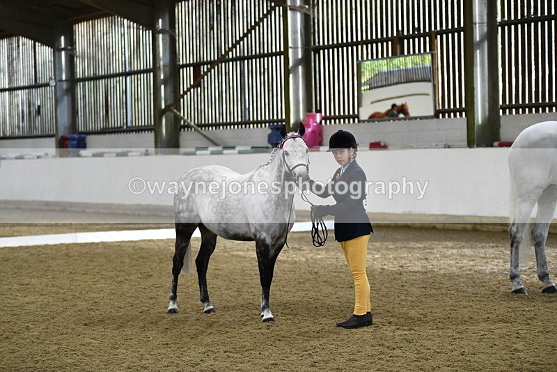 WJ5_3963 - Class 2 Best Condition In hand