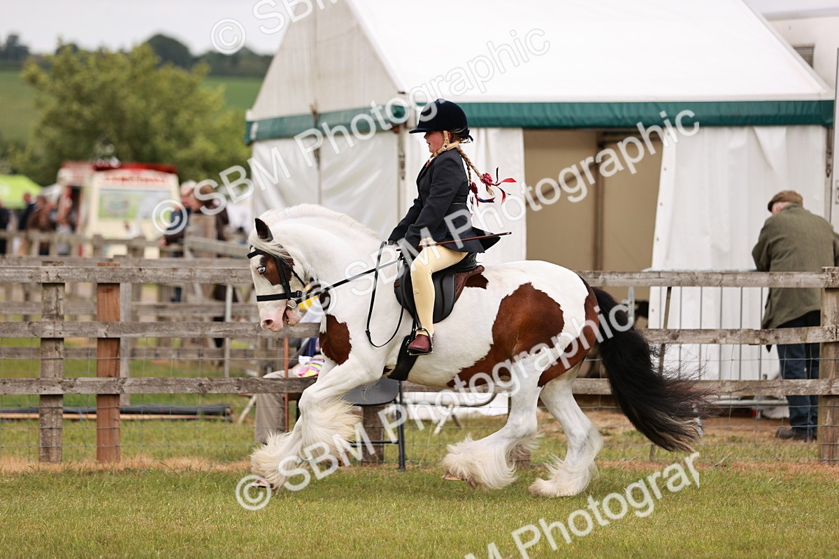 SBM_06156 - Class 39-41 TGCA In Hand and Ridden