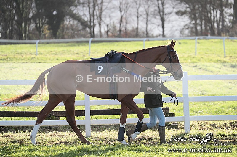 PtP 011224 449 - Hursley Hambledon Point-to-Point Larkhill 01/12/24
