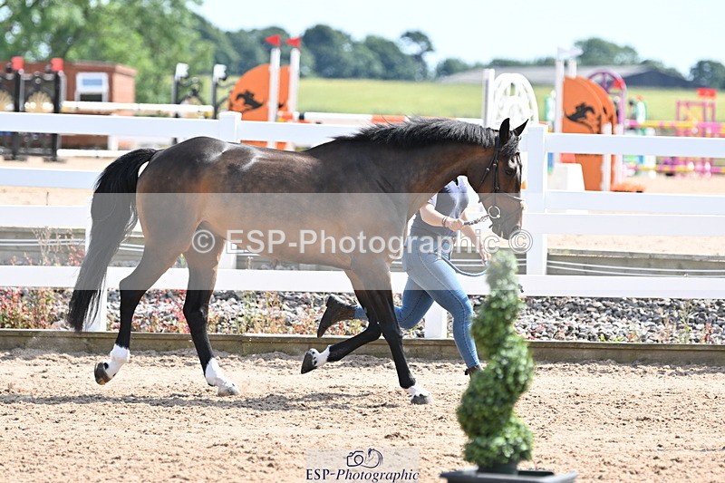 240717A-152158-02788 - Trot Up 3pm to 4pm