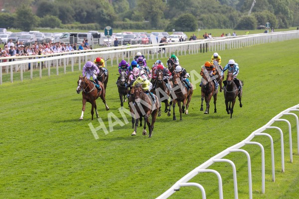 170524-Race 2-Botanical-2145 - Race 2 2.45pm Knights Solicitors Handicap