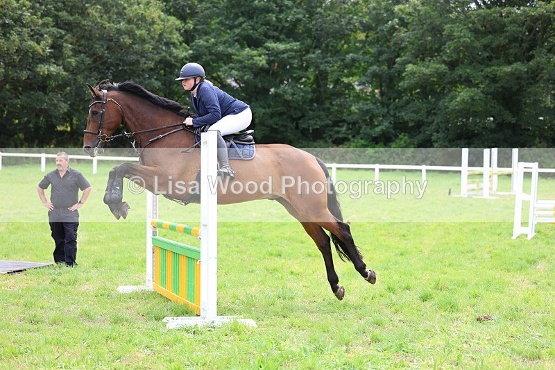 3E7A7384 - Class 5: Senior British Novice/90cm open