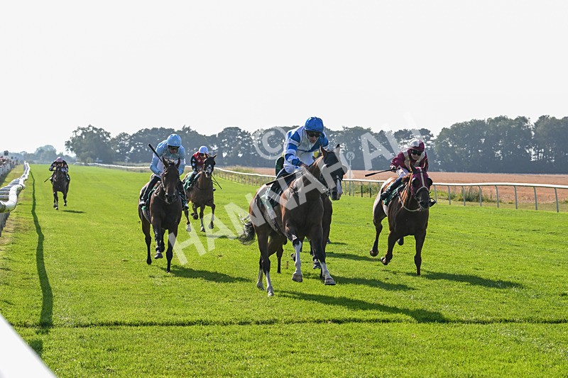 300824-Race 6-Havana Sky-6380 - Race 6