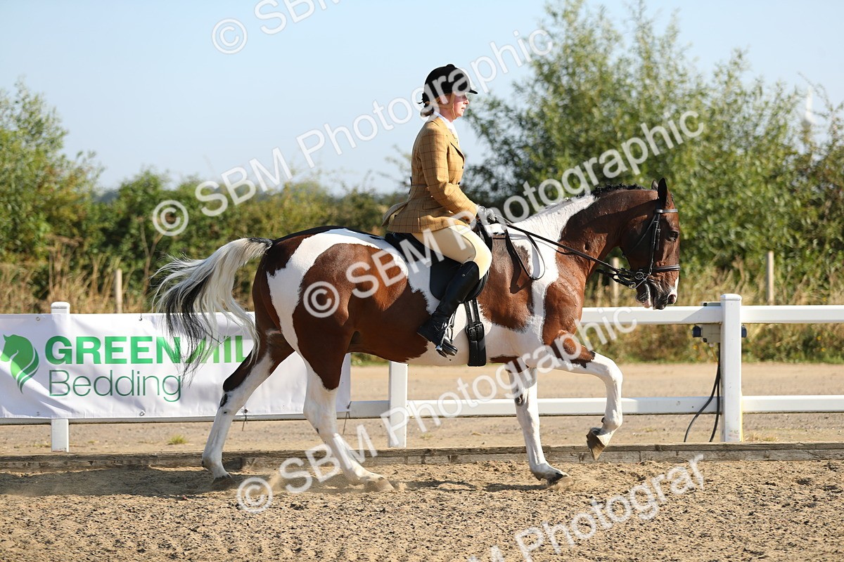 SBM_01137 - Class 42 Ridden Veteran