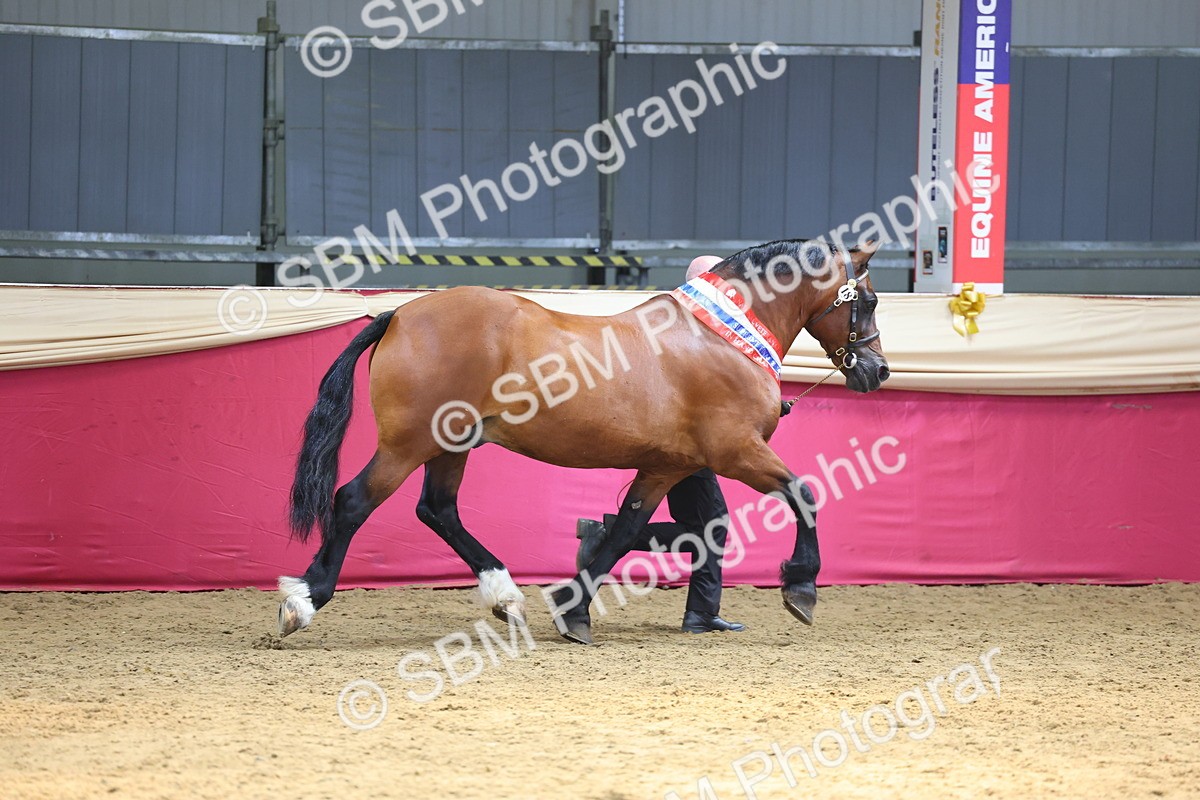 SBM_23261 - Supreme Final - IH Champion