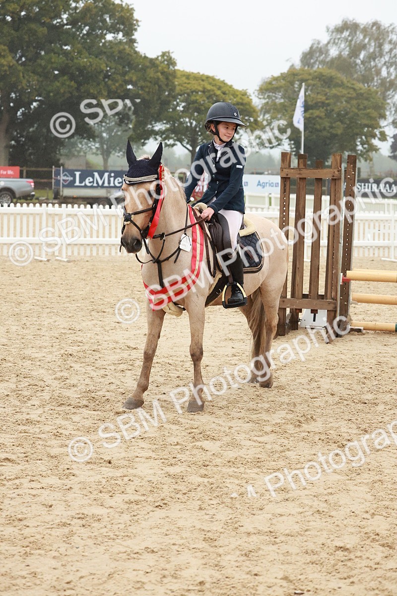 SBM_73507 - Supreme Championship Junior Pony 60cm & 65cm