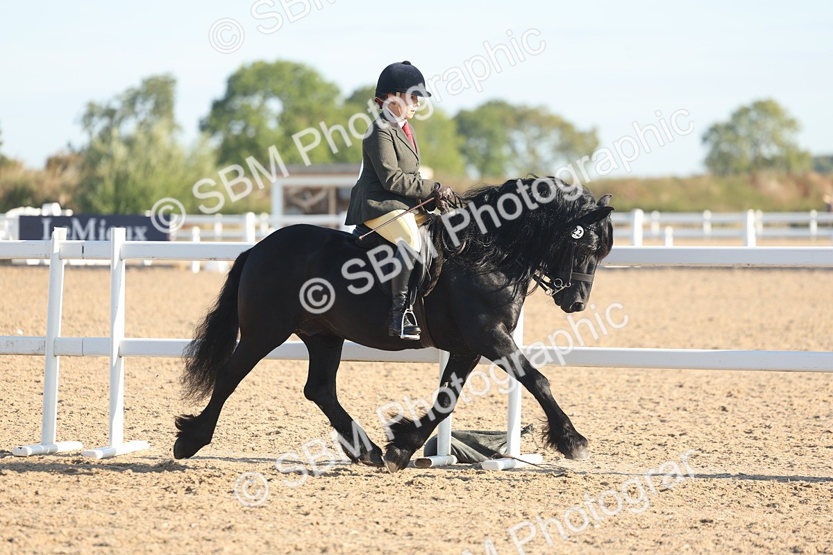 SBM_10984 - Class 302 - Ridden M&M Large Breeds