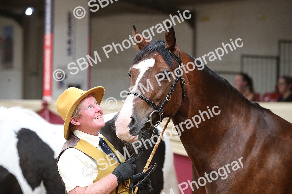 SBM_05671 - Class 9R - Regional IH Pre-Vet