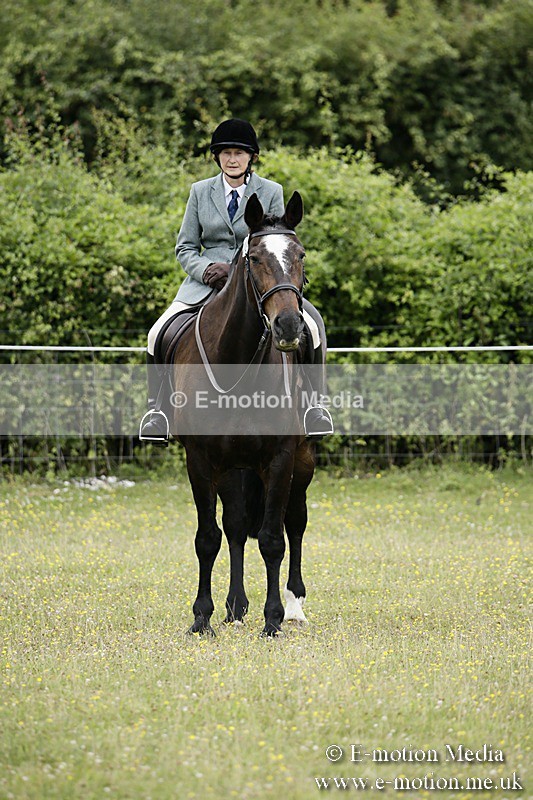 BVR160717-1364 - Ring 1 BVRC Show 16/07/17