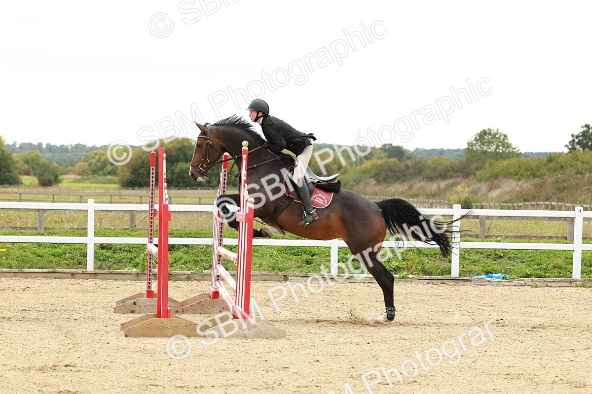 1I0A7033 - Class 2 - Senior British Novice