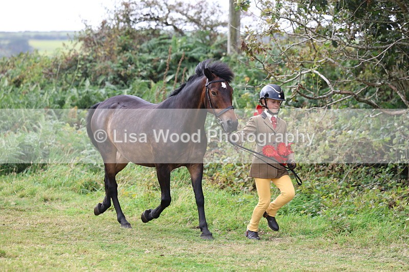 3E7A5693 - In Hand Championship