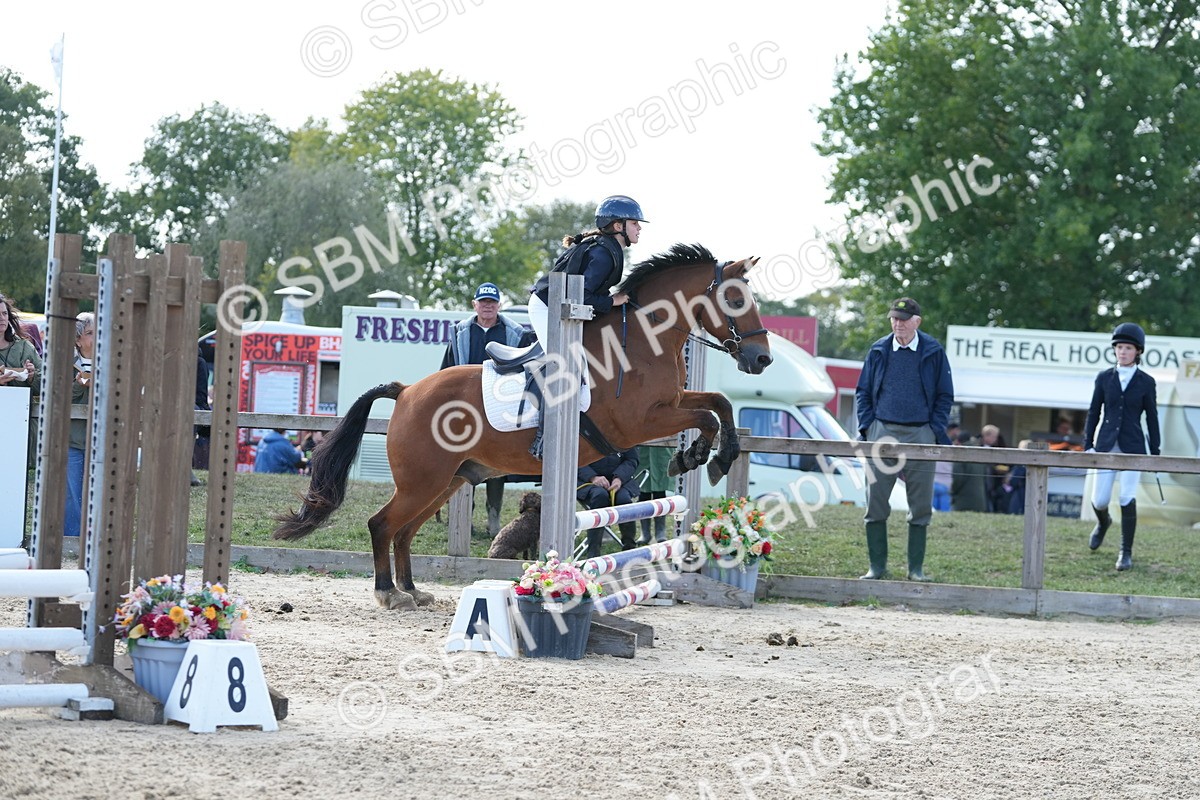 SBM_48419 - J7 - Junior Pony 60cm Championship