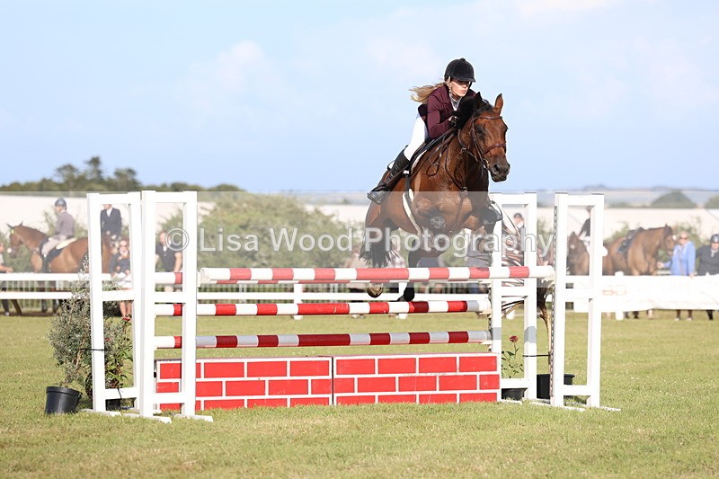 3E7A4449 - Class C: Showjumping Senior Foxhunter