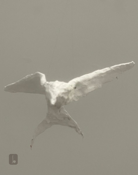 Arctic Tern Attack - departures and returns