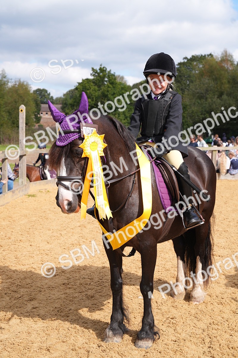 SBM_64518 - J2 - Mini Tour Junior Pony 30cm Championship