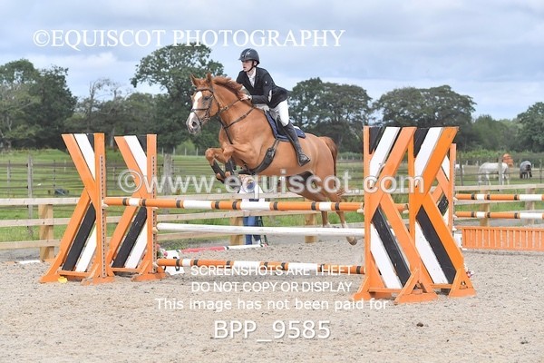BPP_9585 - CLASS 8 Senior Foxhunter/ 1.20m Open