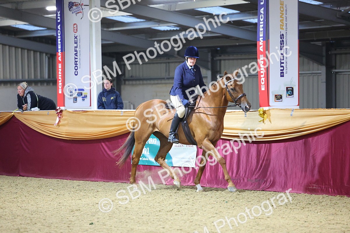 0B8A4272 - Class 108Ridden Retired Racehorse- Final Judging