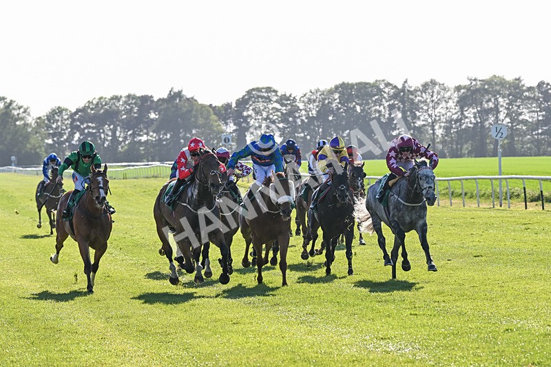 170525-Race 8-So Grateful-8988 - Race 8