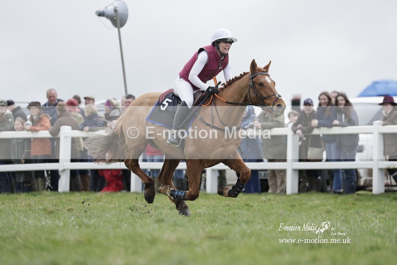 PtP 260323 0273 - New Forest Hounds Point-to-Point Larkhill 26/03/23