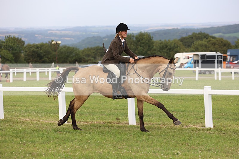JPP_4437 - Class 26: Working Hunter 1m